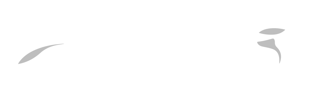 TirCar